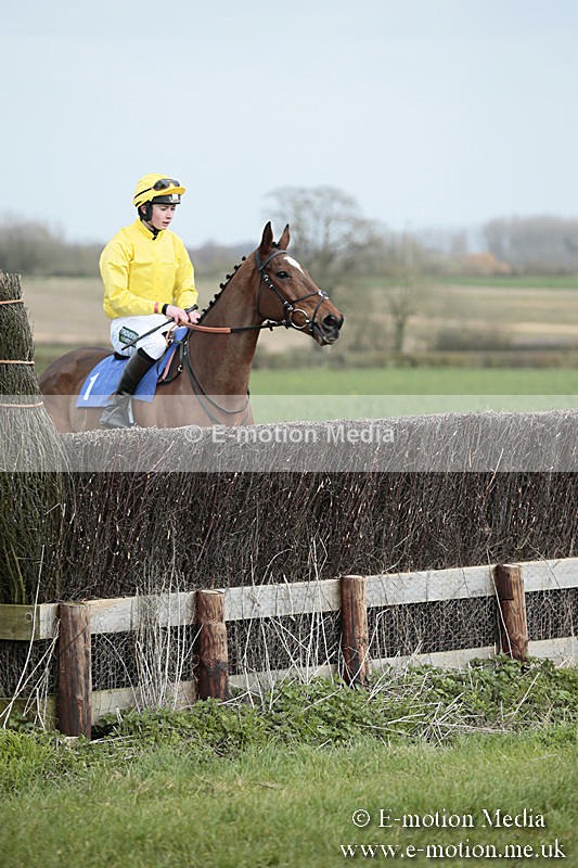 PtP 230319 3 - VWH Hunt Siddington Point-to-Point Racing 23/03/19
