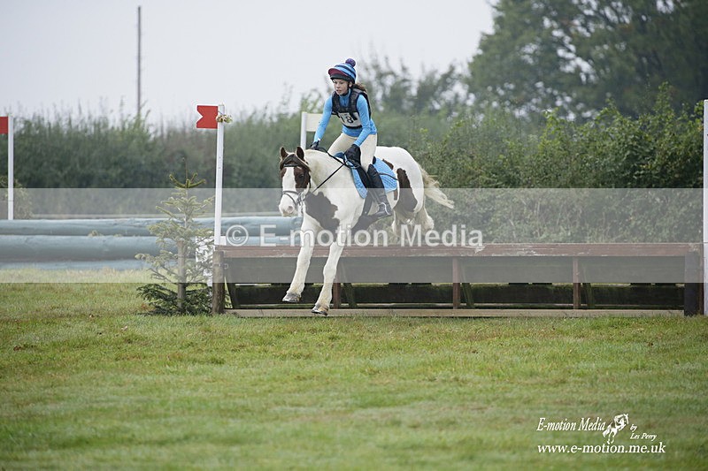 WWHT 171021 0133 - Novice Restricted (0.80m)  17/10/21