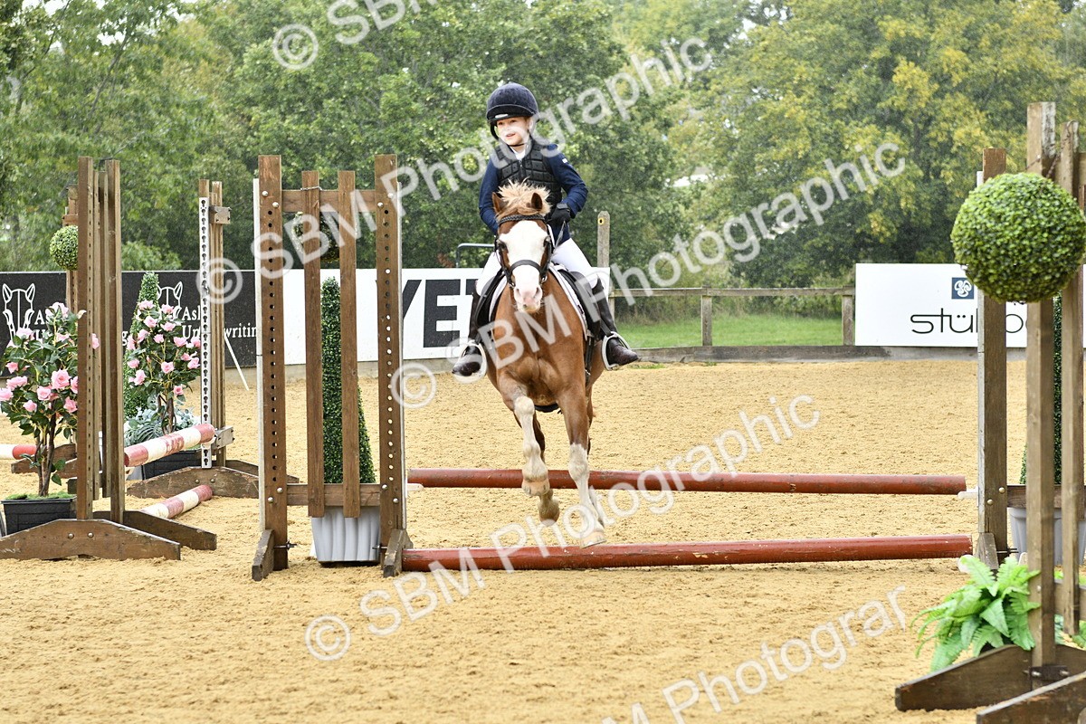SBM_70930 - J3 - Mini Tour Junior Pony 40cm championship