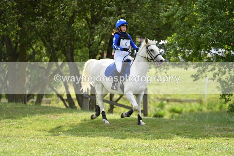 WJ5_2393 - Class 2 40cm