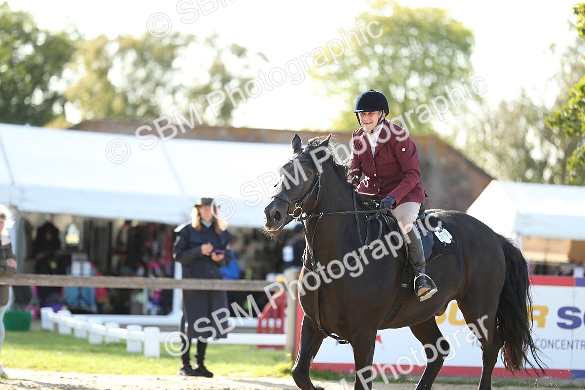 SBM_11470 - J37 - Veteran Rider 75cm