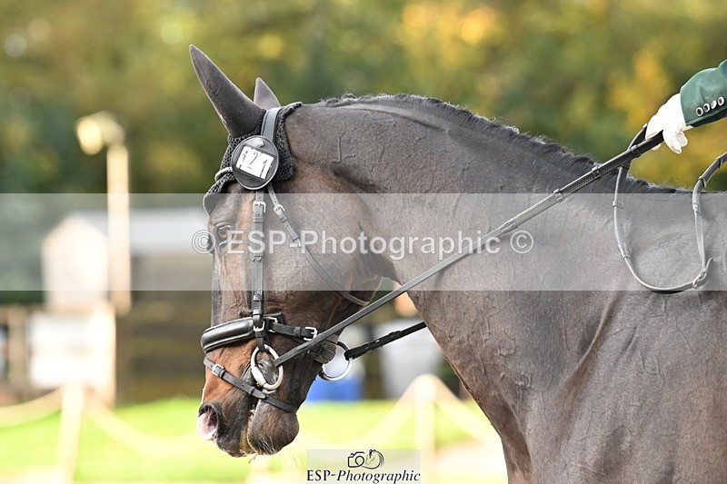 251023A-093114-01271 - B-121-Patrick.Whelan