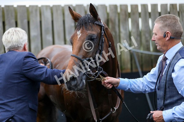 210824-Race 4-City Of Troy-7376 - Race 4 3.35pm Juddmonte International Stakes
