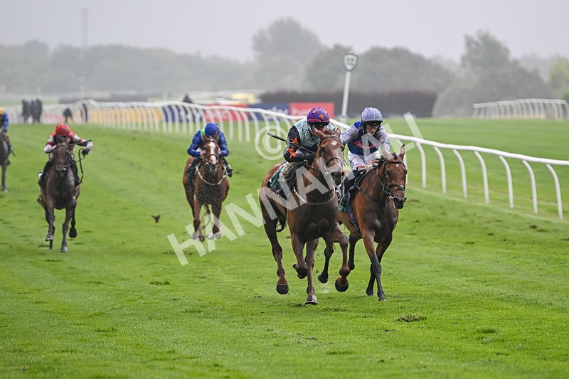 230725-Race 4-Brave Emerald-0194 - Race 4