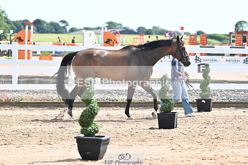 240717A-152603-02820 - Trot Up 3pm to 4pm