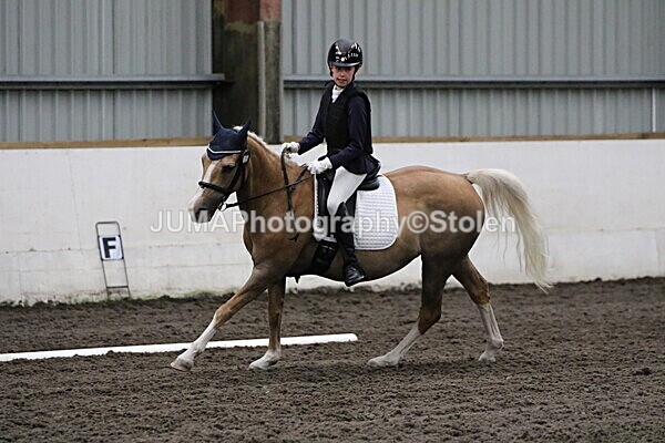 SIAL3651 - CAbin Dressage 5th july 2025