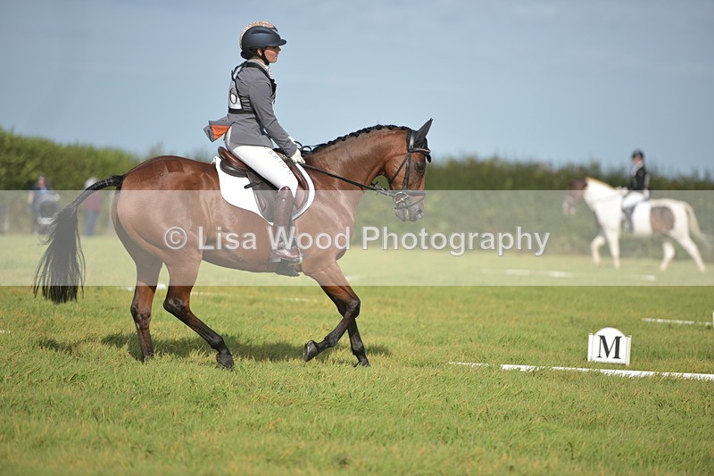 RAY_7588 - Class 2B: Trekenning Open: Dressage