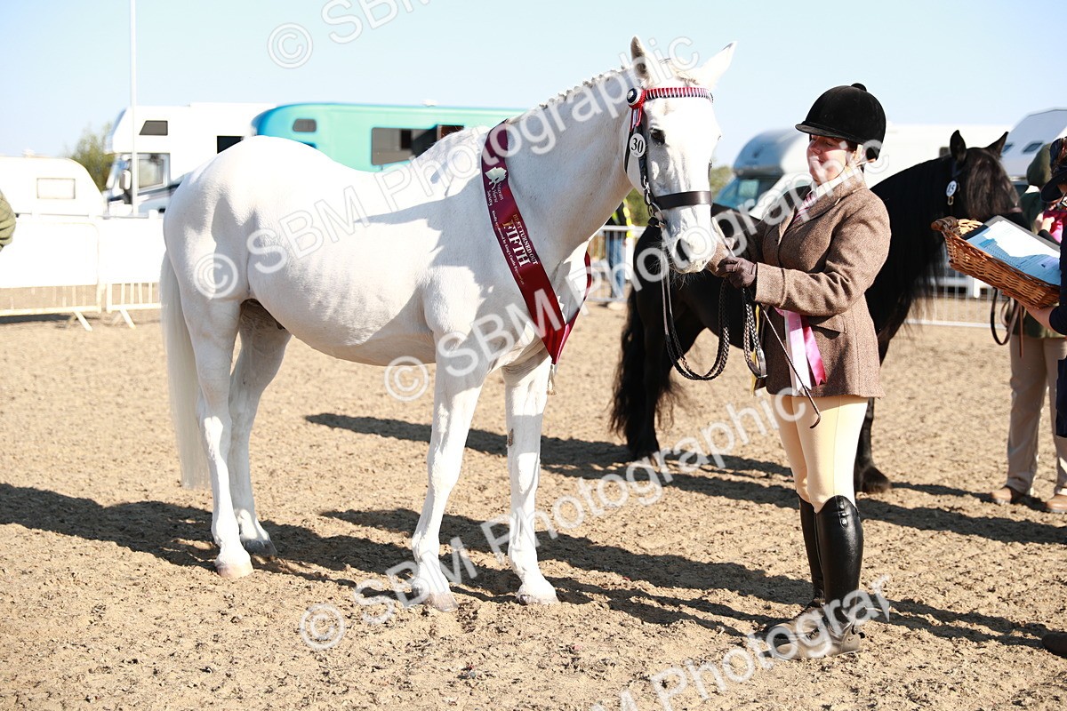 SBM_00132 - Class 40 Best Turned Out IH