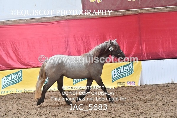 JAC_5683 - 6 Glenmuir Niamh