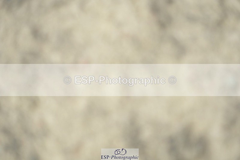 230909-130224-05899 - Cls 17 Snr 1.05m Open