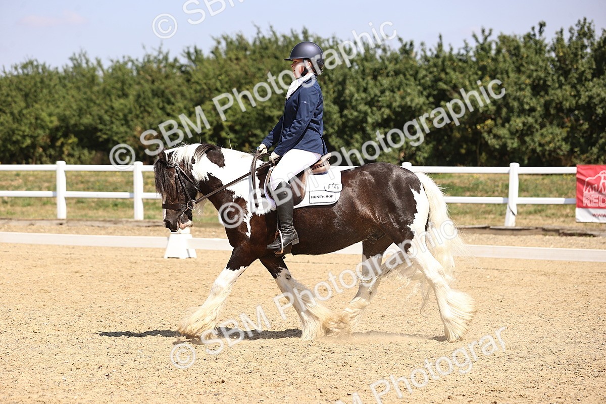 SBM_003753 - Intro 2