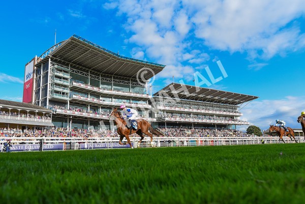 240823-Race 7-Nigiri-1360 - Race 7 5.20pm British EBF 40th Anniversary Fillies' Handicap