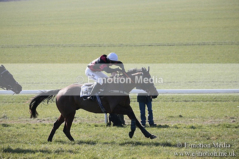 PtP 240218 60 - Vine & Craven Hunt Point-to-Point Barbury racecourse 24/02/18