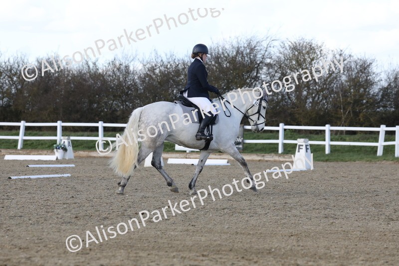 20260314-5084 - CT6 - Elementary 1