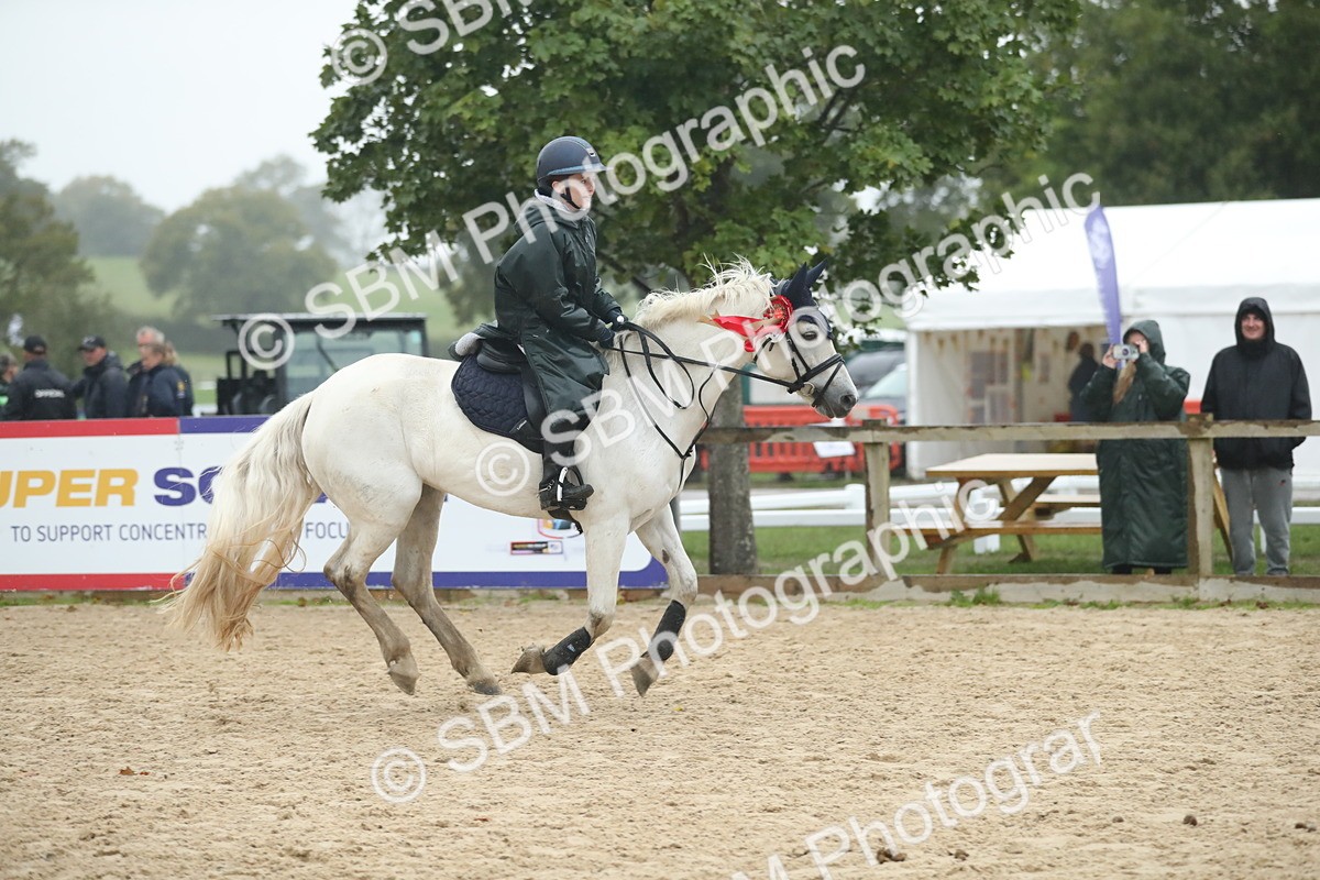 SBM_74366 - Supreme championship Junior Pony 70cm 75cm