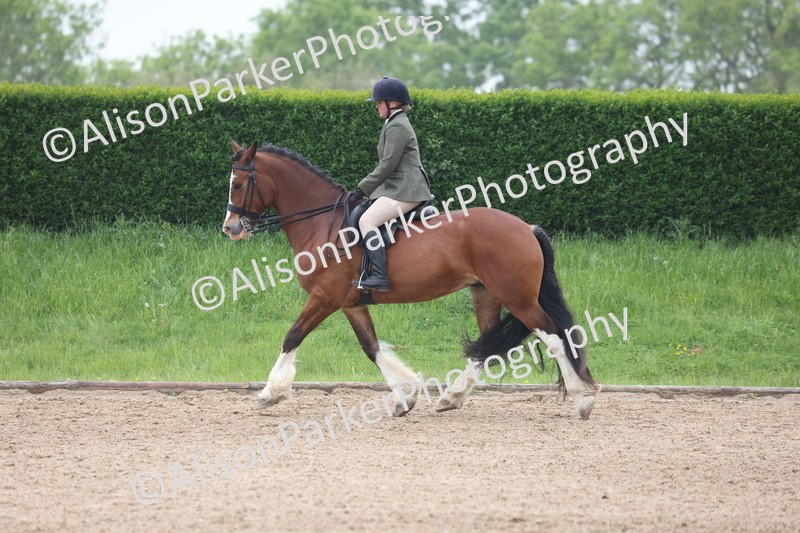 20260504-1118 - Class 14 - Cob and Hunter