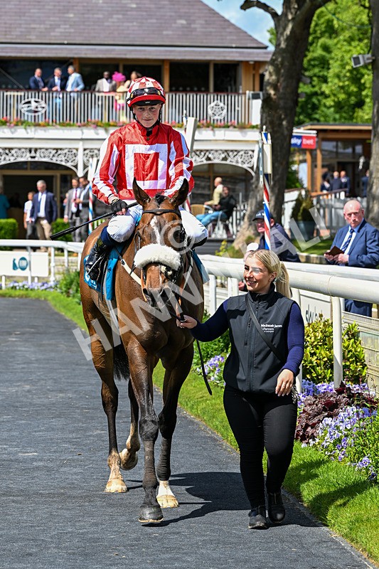 120626-Race 1-Our Havana-6739 - Race 1 13.50pm Andy Thornton Hospitality Furniture Apprentice Handicap