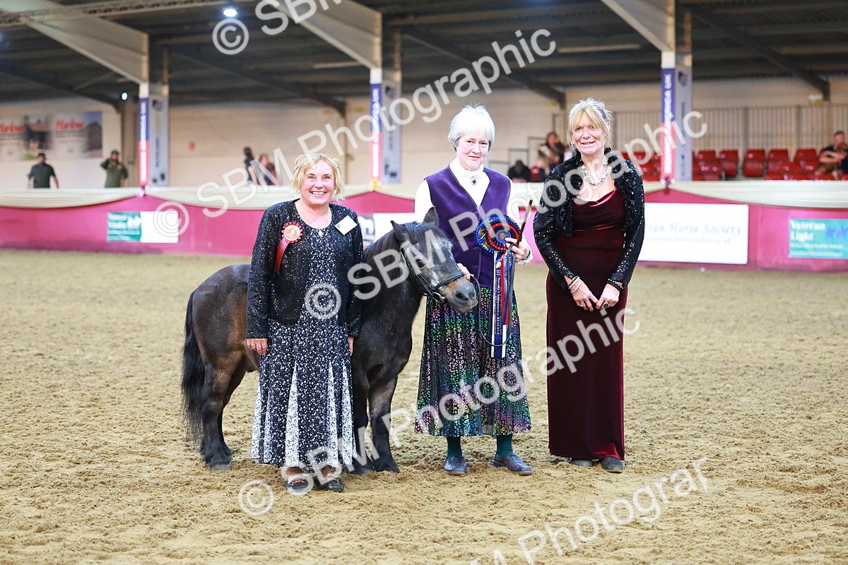 SBM_14760 - Class C - Novelty champ