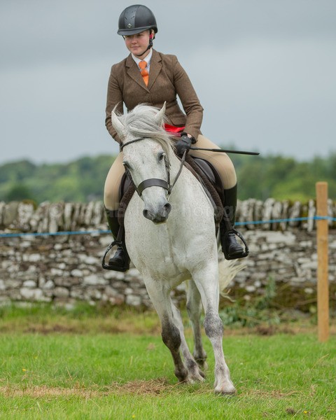 Dunblane show-626 - Dunblane and Doune Show Ring 1