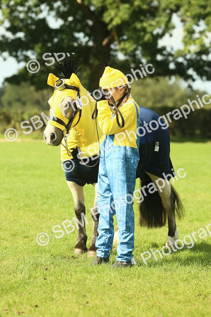 SBM_63512 - S35 - Fancy Dress Showing