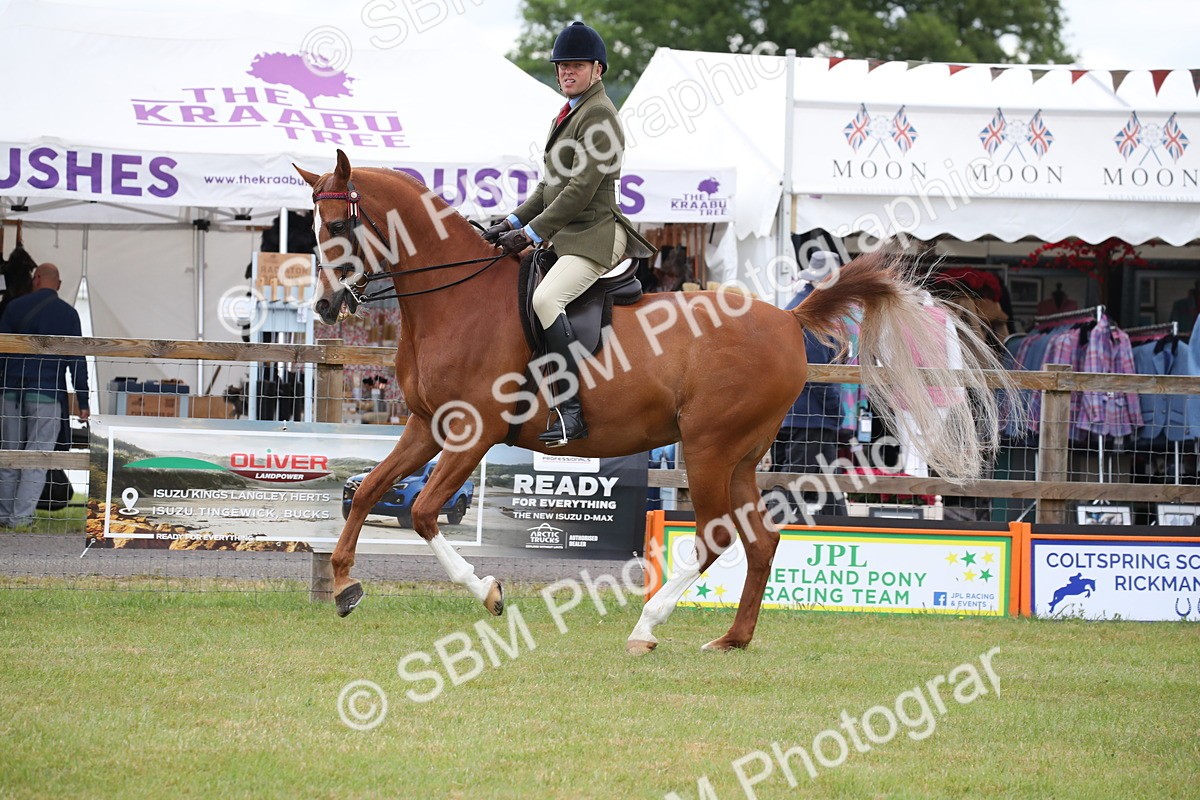 SBM_03629 - Class 21 - 22 - Ridden Arab and Part Bred/Anglo Arab