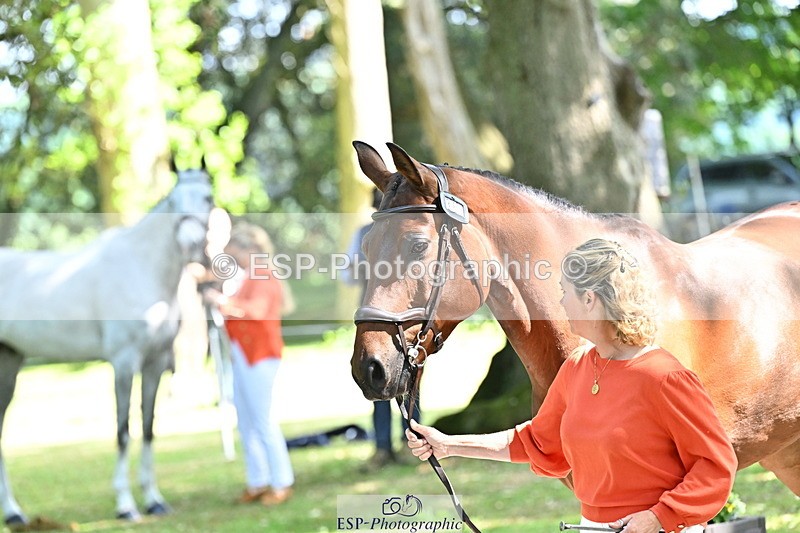 250521A-153537-00618 - B-369-Ali.Wilkes-ROCK.THE.CASPAR