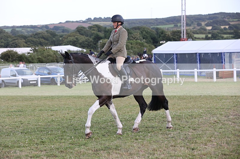 JPP_3574 - Class 22: Working Hunter 90cm