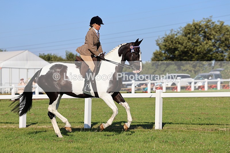 IMG_1218 - Class 27: Ridden Plaited Coloured Horse