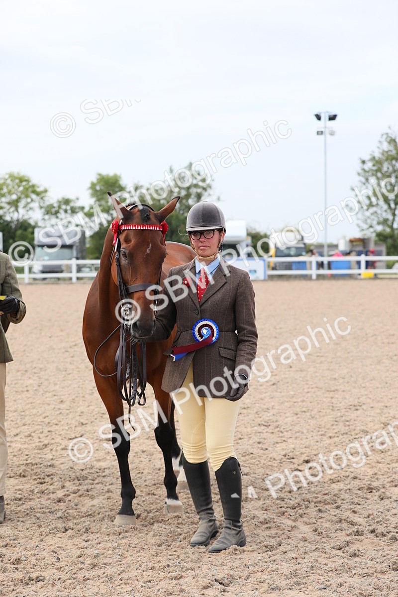 SBM_15966 - Class 313 IH Retired Racehorse