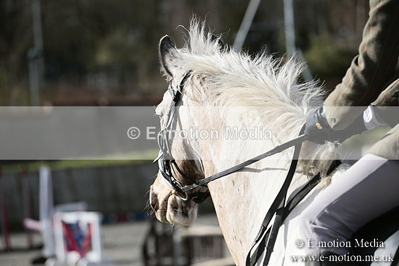 BVRC SJ 170319 123 - Bourne Valley Riding Club Showjumping 17/03/19