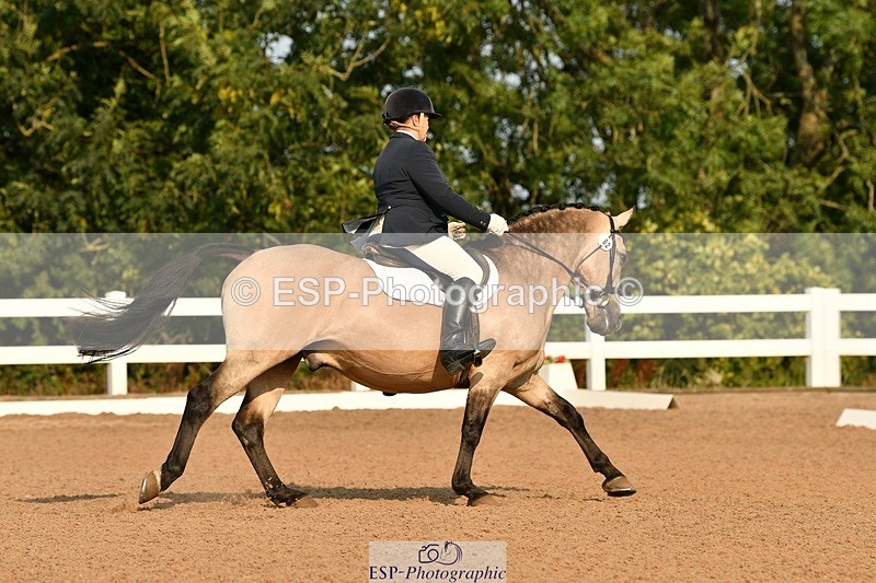 250817-092220-06885 - 082-Sarah.DavisWinston.Classic.Gold