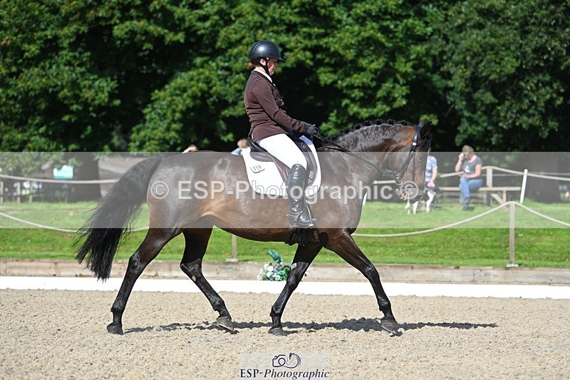 230811-095437-00168 - Cls 3 Adv Medium Bronze Start to 10.25 break