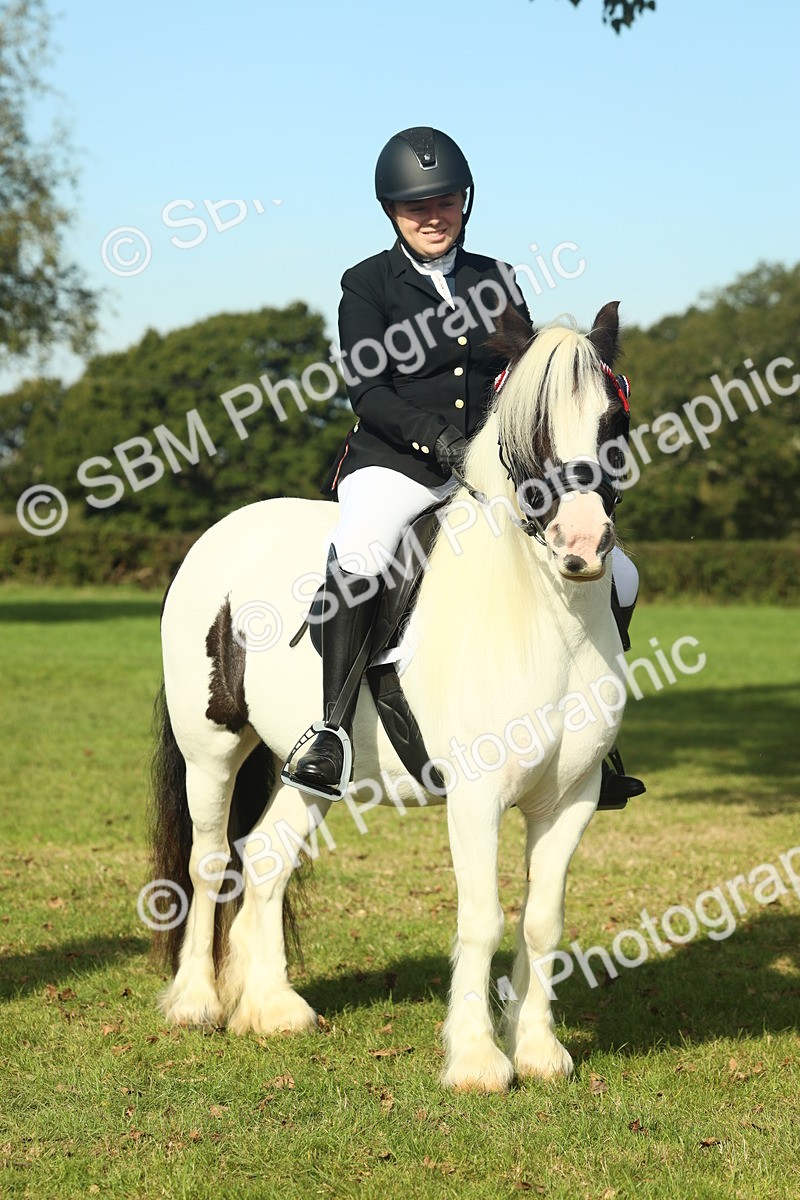 SBM_60006 - S38 - Starters Ridden Showing