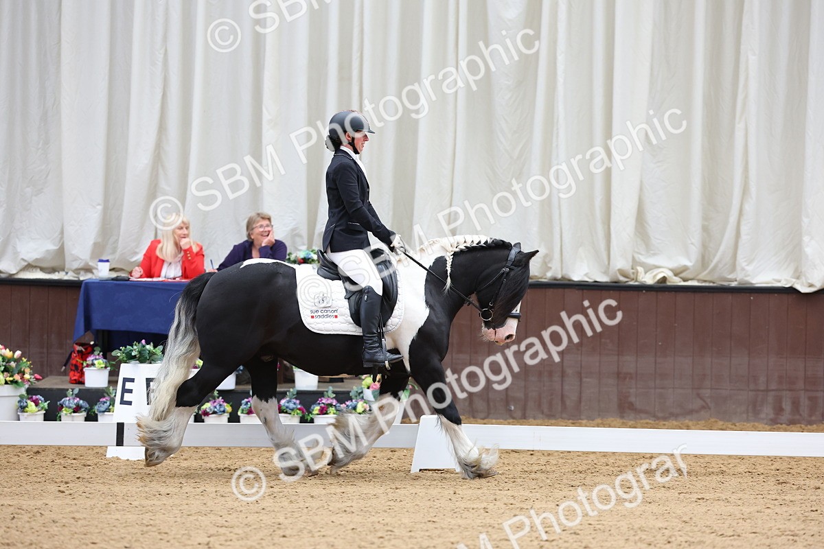 SBM_015996 - Class 15 - Novice FSM - 9.50 - 11.10