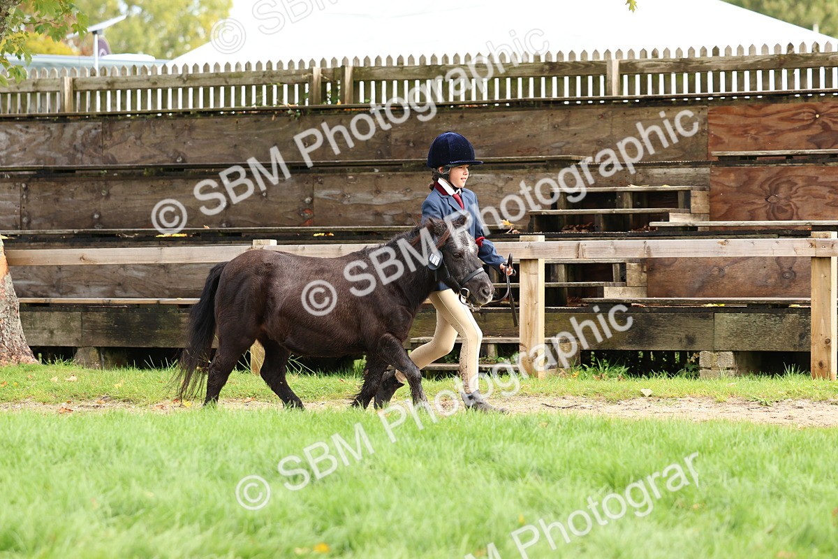 SBM_40714 - S25 -  Veteran In Hand