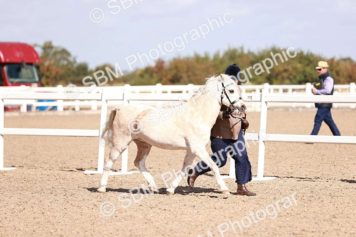 SBM_22948 - Class 707 - IH groom Helpers Class