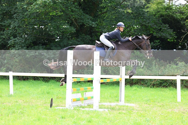 3E7A7363 - Class 5: Senior British Novice/90cm open