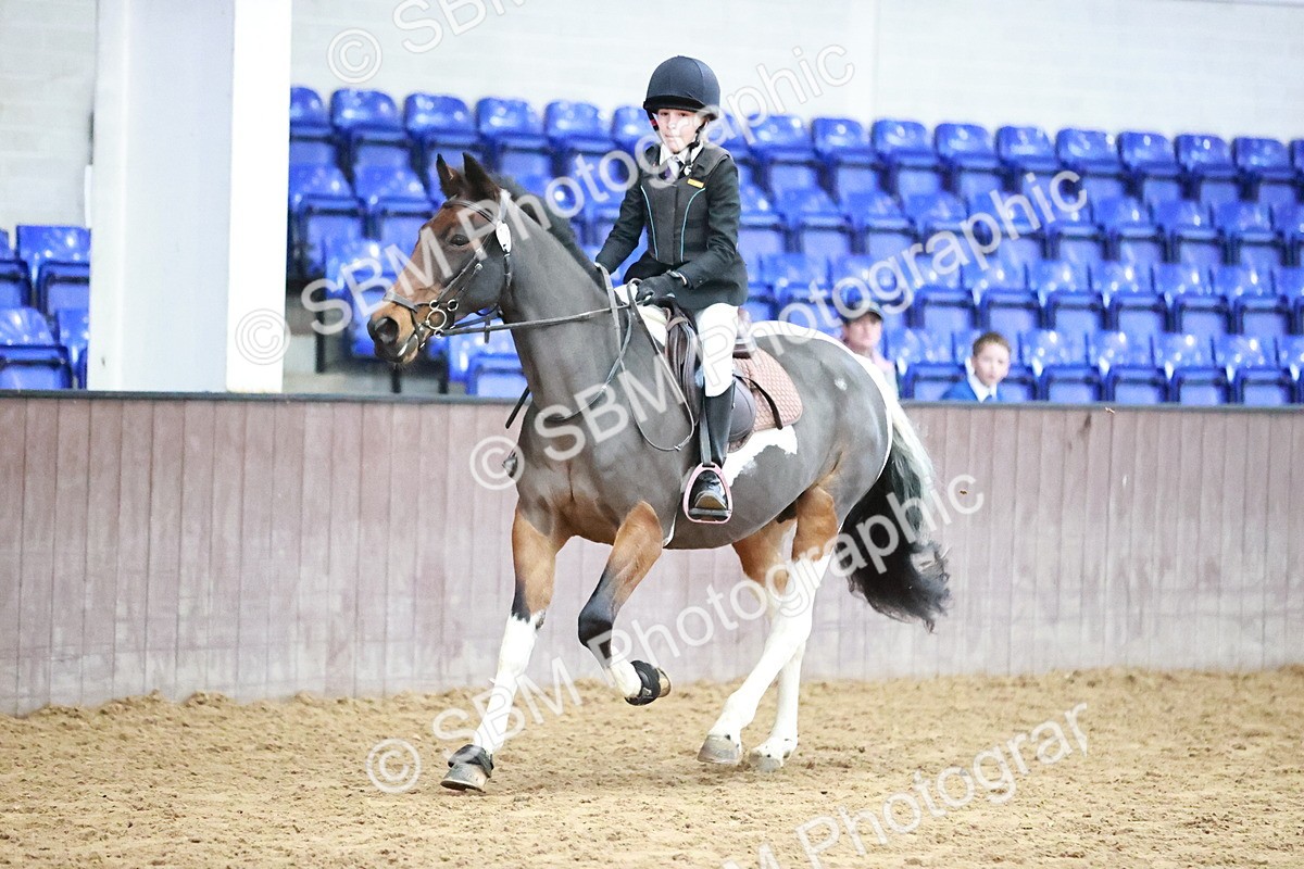 SBM_000354 - Class 2 - Show Jumping 50cm