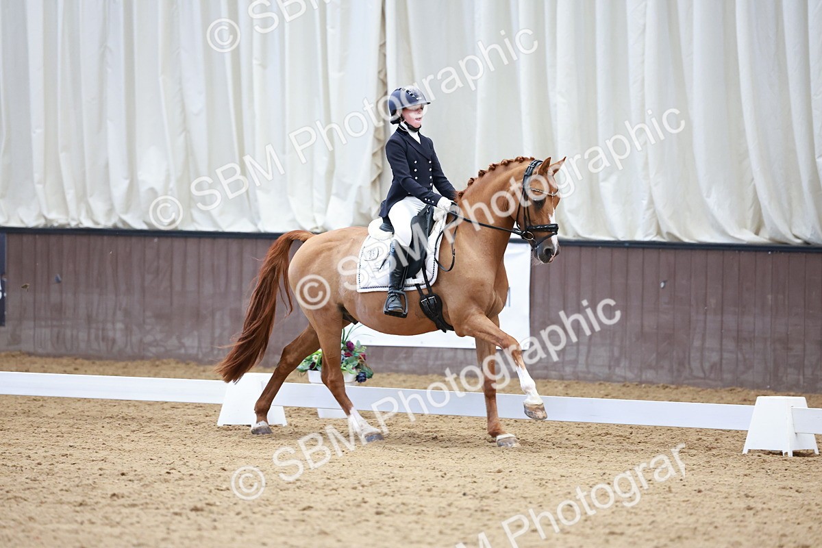 SBM_017078 - Class15 - FEI Pony