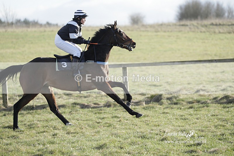 PtP 260223 1132 - South & West Wilts Point-to-Point Larkhill 26/02/23