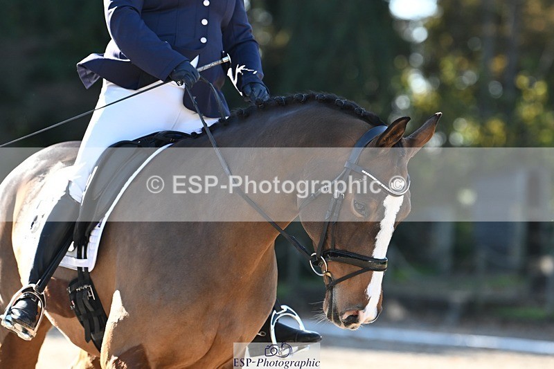 231110-112408-00398 - Cls 2 Prelim 17(a)Q