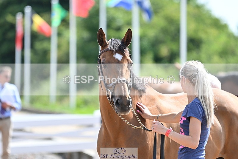 240717A-152313-02802 - Trot Up 3pm to 4pm