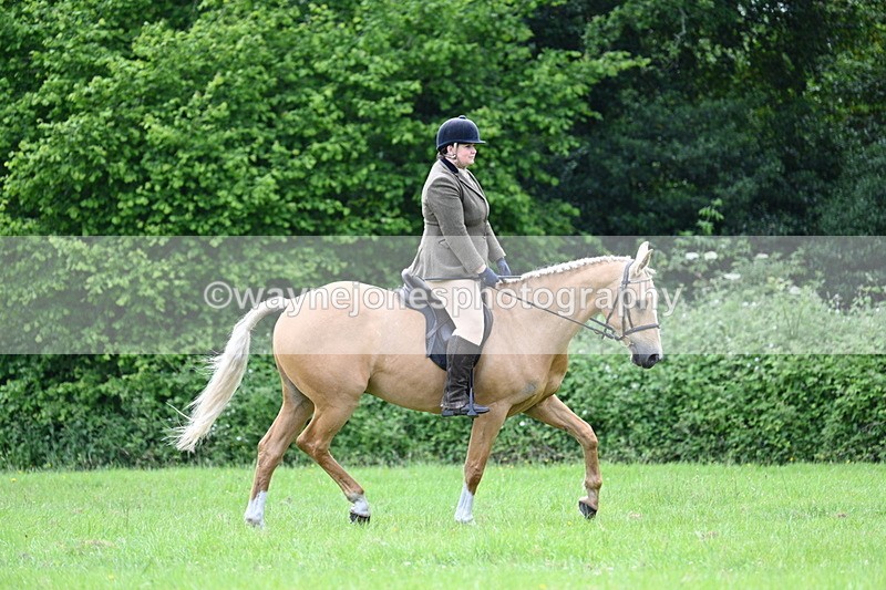 WJ7_2438 - Class 12A Coloured Class