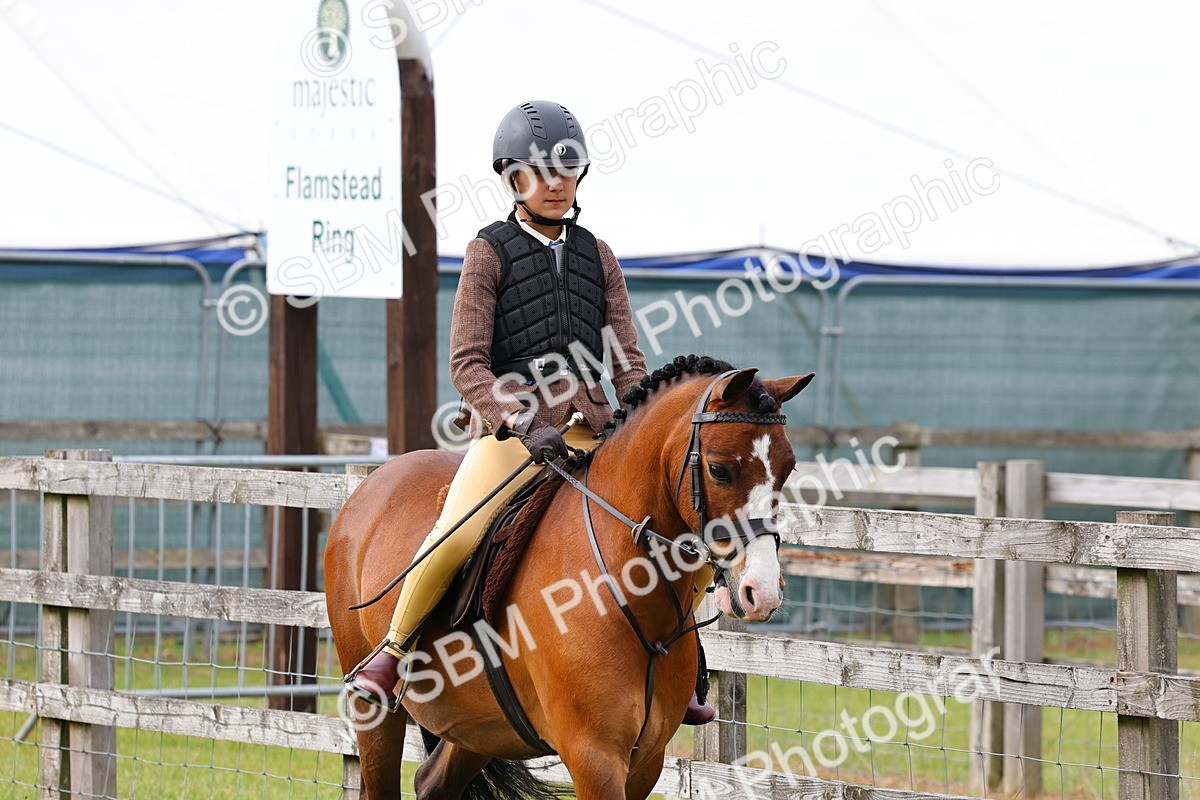 SBM_09622 - Class 44-45 - LIHS BSPS Open Nursery and Cradle Stakes