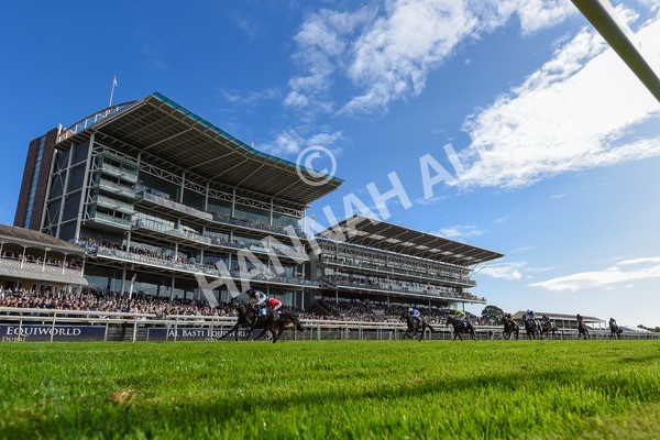 141023-Race 1-Purosangue-3853 - Race 1 1.15pm Coral Rockingham Stakes