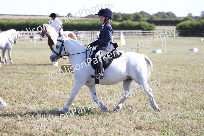 20260906-2214 - Class 16 - Family Pony