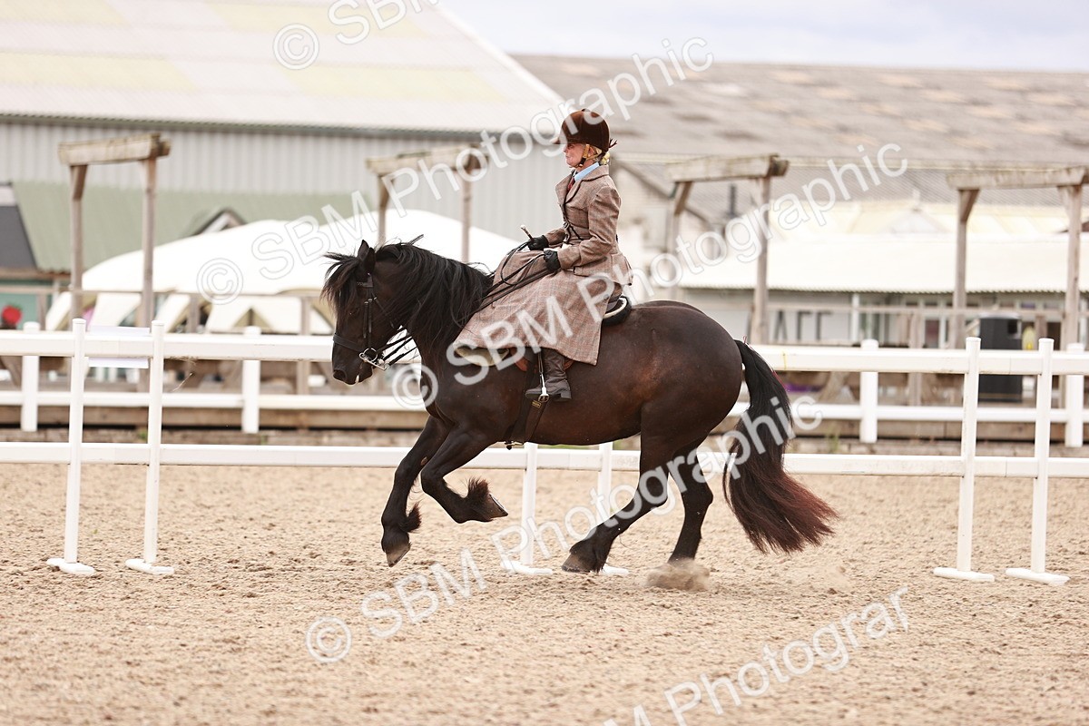 SBM_18988 - Class 422 - Ridden M&M