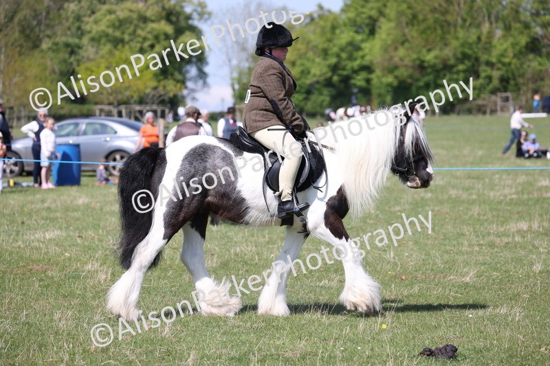 20250427-3190 - Class 33 - Best Pony 14.2hh and Under