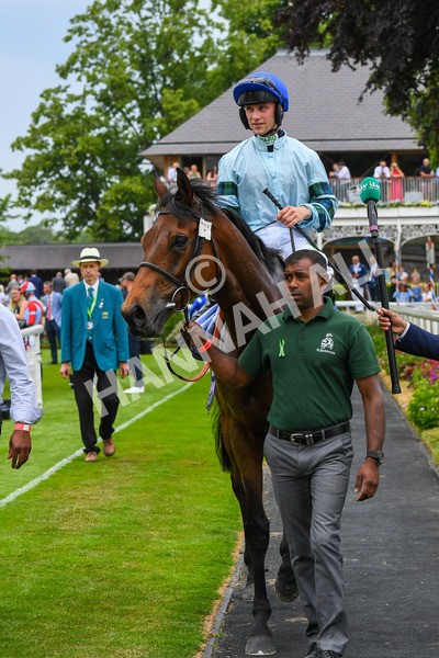 170623-Race 3-Quickthorn-0494 - Race 3 3.05pm Sky Bet Race To The Ebor Grand Cup Stakes