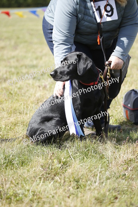 20250831-3724 - Dog Show